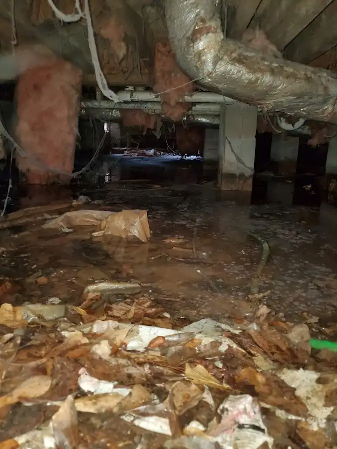 Crawl space flood assessment for Leak Detection & Repair in Phoenix